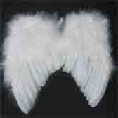 Angel wings